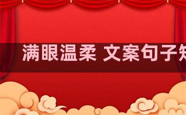 满眼温柔 文案句子短句